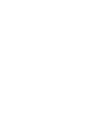 nice_wagen_logo_white